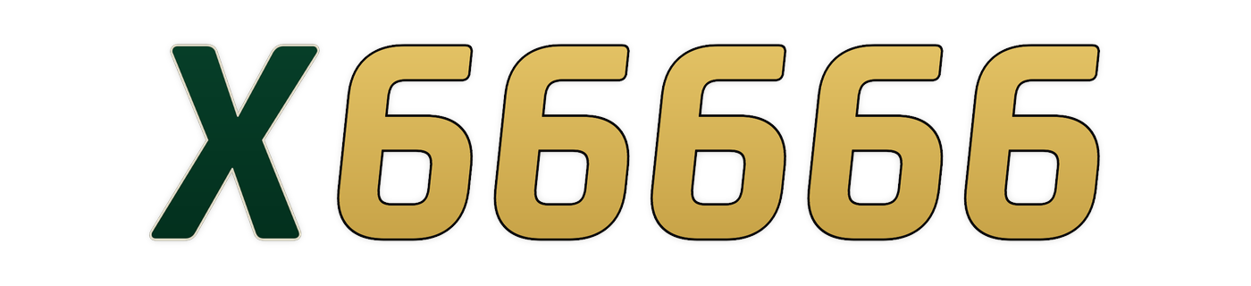 x66666 Logo